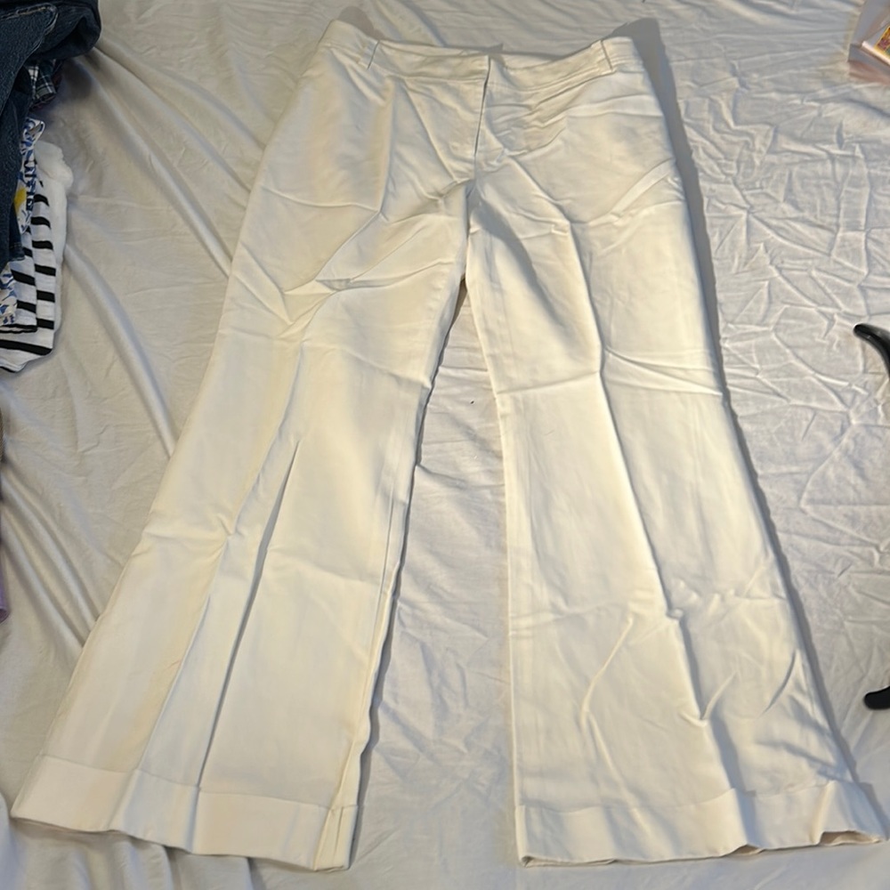Ann Taylor petite women’s lined dress pants